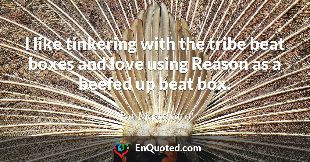 I like tinkering with the tribe beat boxes and love using Reason as a beefed up beat box.