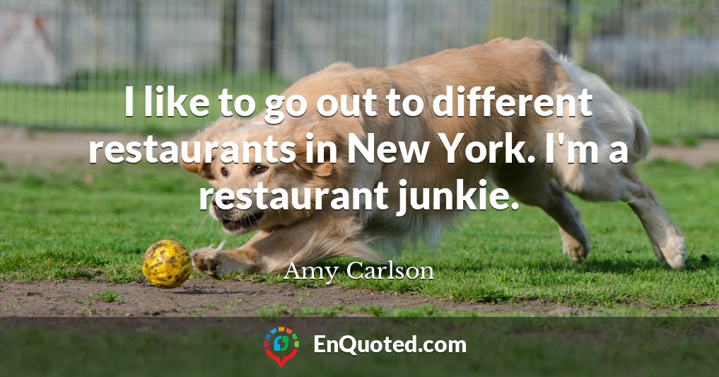 I like to go out to different restaurants in New York. I'm a restaurant junkie.