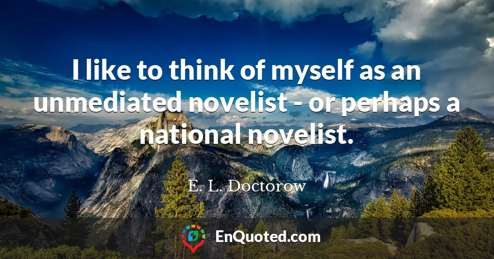 I like to think of myself as an unmediated novelist - or perhaps a national novelist.