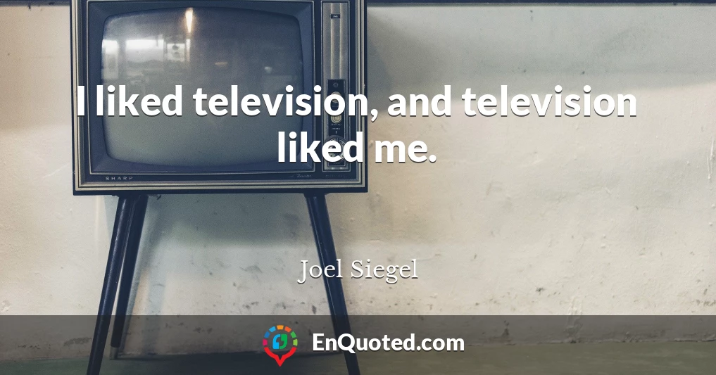 I liked television, and television liked me.
