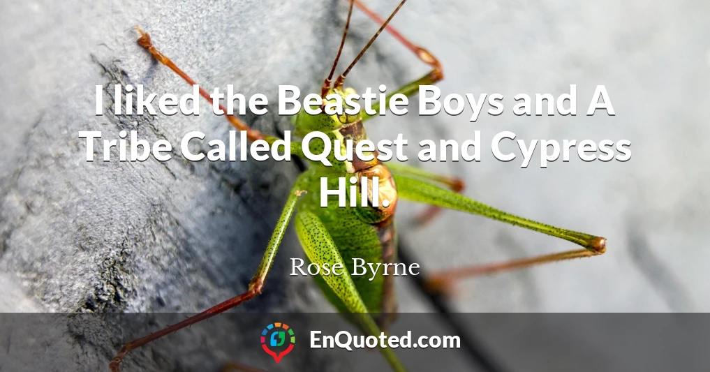I liked the Beastie Boys and A Tribe Called Quest and Cypress Hill.