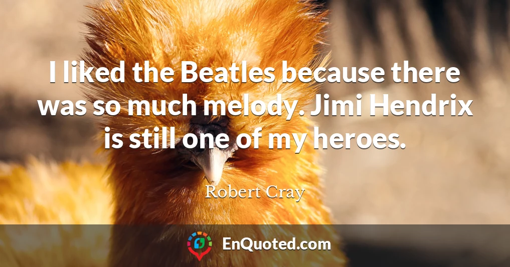 I liked the Beatles because there was so much melody. Jimi Hendrix is still one of my heroes.