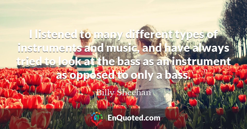 I listened to many different types of instruments and music, and have always tried to look at the bass as an instrument as opposed to only a bass.