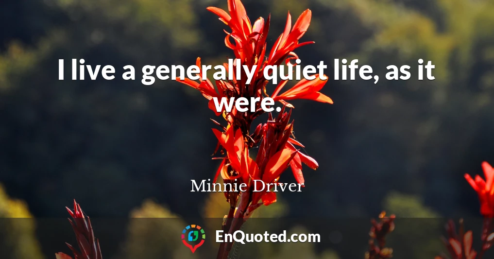 I live a generally quiet life, as it were.