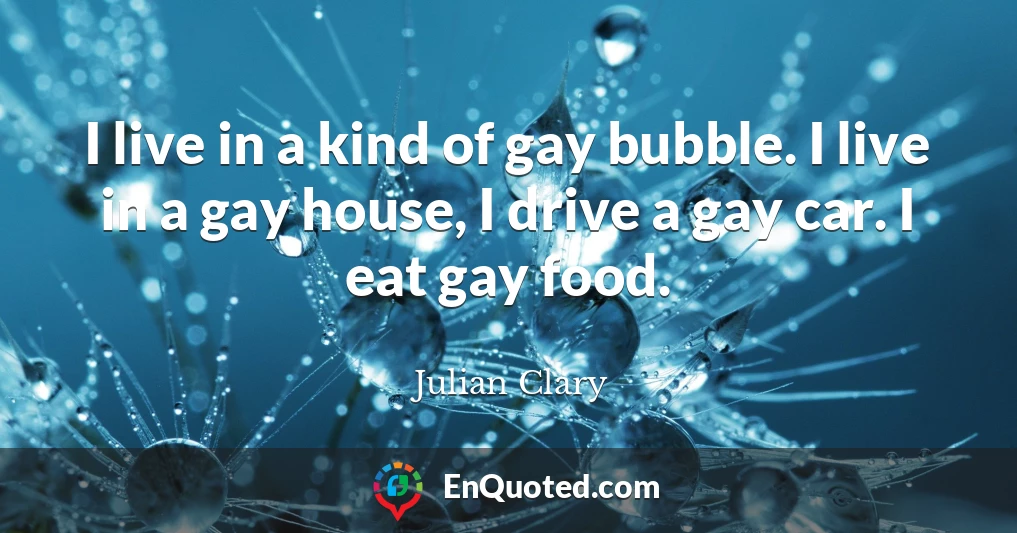 I live in a kind of gay bubble. I live in a gay house, I drive a gay car. I eat gay food.