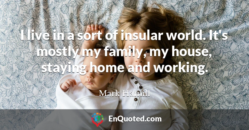 I live in a sort of insular world. It's mostly my family, my house, staying home and working.