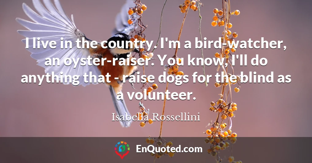 I live in the country. I'm a bird-watcher, an oyster-raiser. You know, I'll do anything that - raise dogs for the blind as a volunteer.