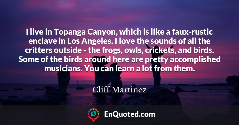I live in Topanga Canyon, which is like a faux-rustic enclave in Los Angeles. I love the sounds of all the critters outside - the frogs, owls, crickets, and birds. Some of the birds around here are pretty accomplished musicians. You can learn a lot from them.