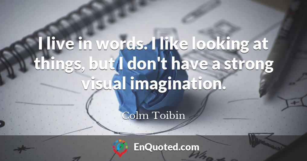 I live in words. I like looking at things, but I don't have a strong visual imagination.