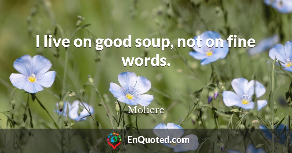I live on good soup, not on fine words.