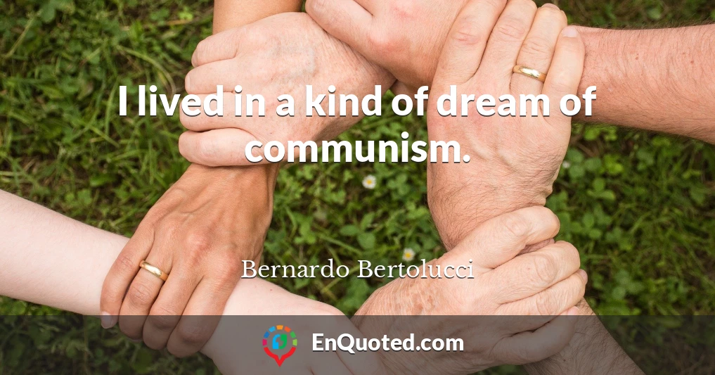 I lived in a kind of dream of communism.