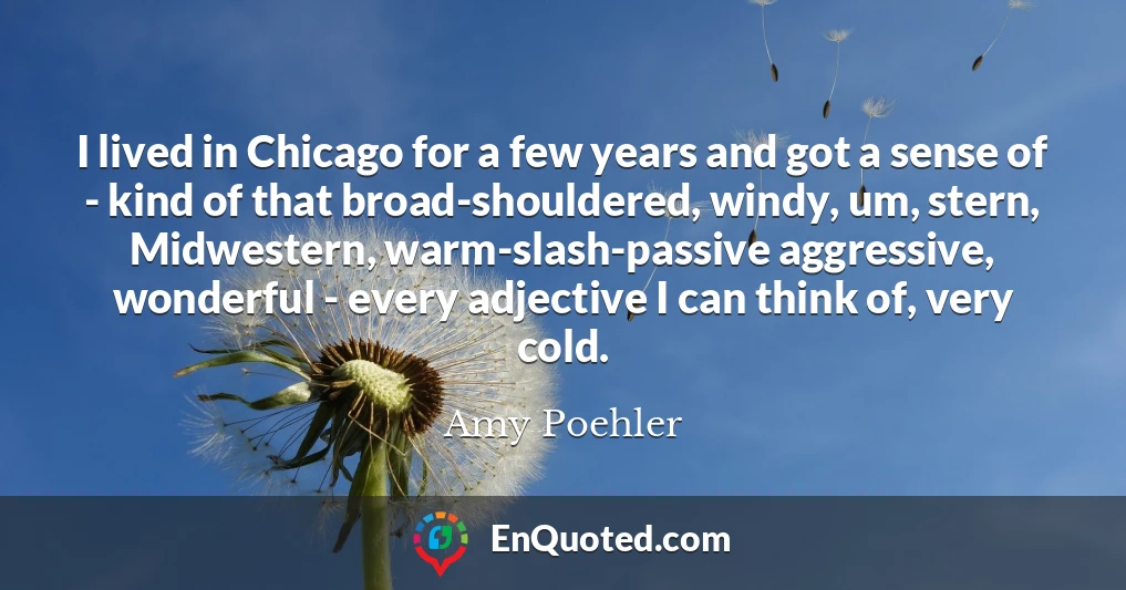 I lived in Chicago for a few years and got a sense of - kind of that broad-shouldered, windy, um, stern, Midwestern, warm-slash-passive aggressive, wonderful - every adjective I can think of, very cold.