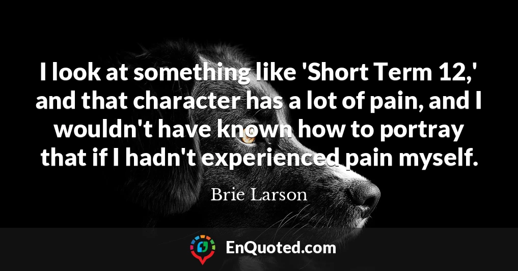 I look at something like 'Short Term 12,' and that character has a lot of pain, and I wouldn't have known how to portray that if I hadn't experienced pain myself.