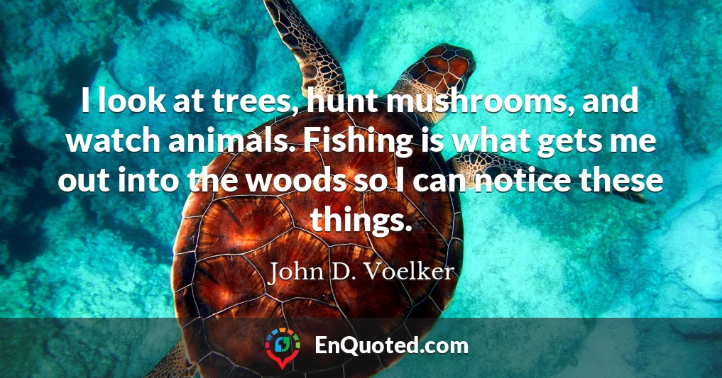 I look at trees, hunt mushrooms, and watch animals. Fishing is what gets me out into the woods so I can notice these things.