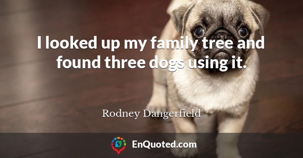 I looked up my family tree and found three dogs using it.