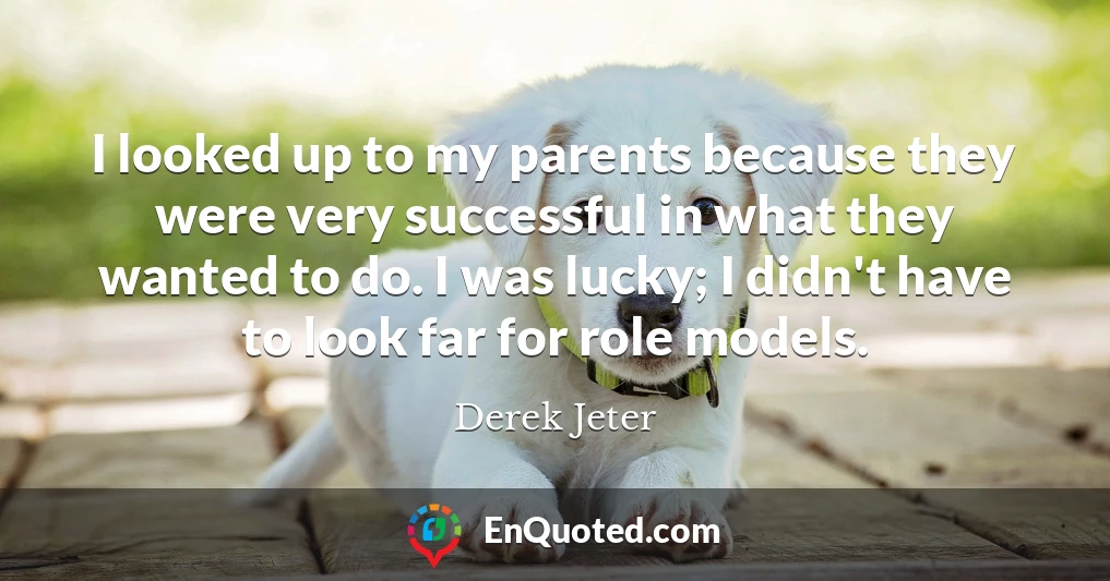 I looked up to my parents because they were very successful in what they wanted to do. I was lucky; I didn't have to look far for role models.