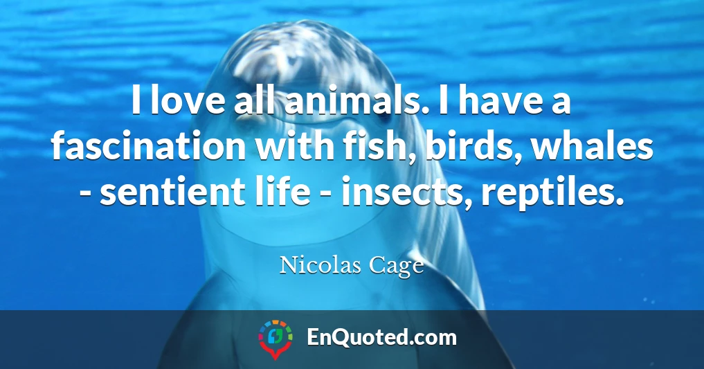 I love all animals. I have a fascination with fish, birds, whales - sentient life - insects, reptiles.