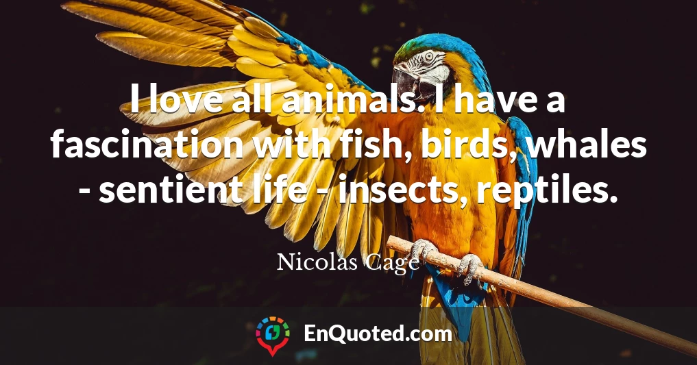 I love all animals. I have a fascination with fish, birds, whales - sentient life - insects, reptiles.