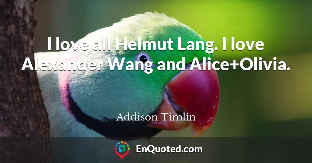 I love all Helmut Lang. I love Alexander Wang and Alice+Olivia.