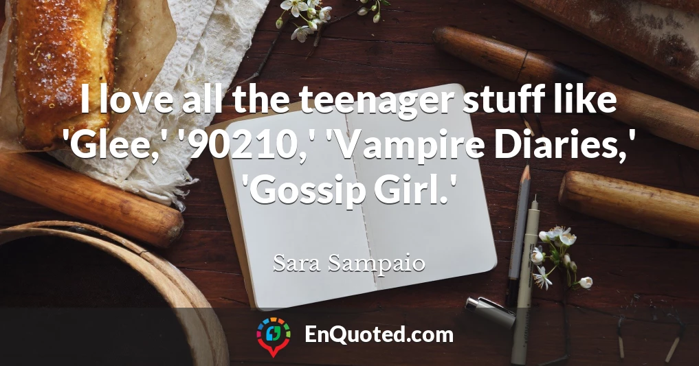 I love all the teenager stuff like 'Glee,' '90210,' 'Vampire Diaries,' 'Gossip Girl.'