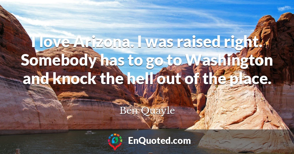 I love Arizona. I was raised right. Somebody has to go to Washington and knock the hell out of the place.