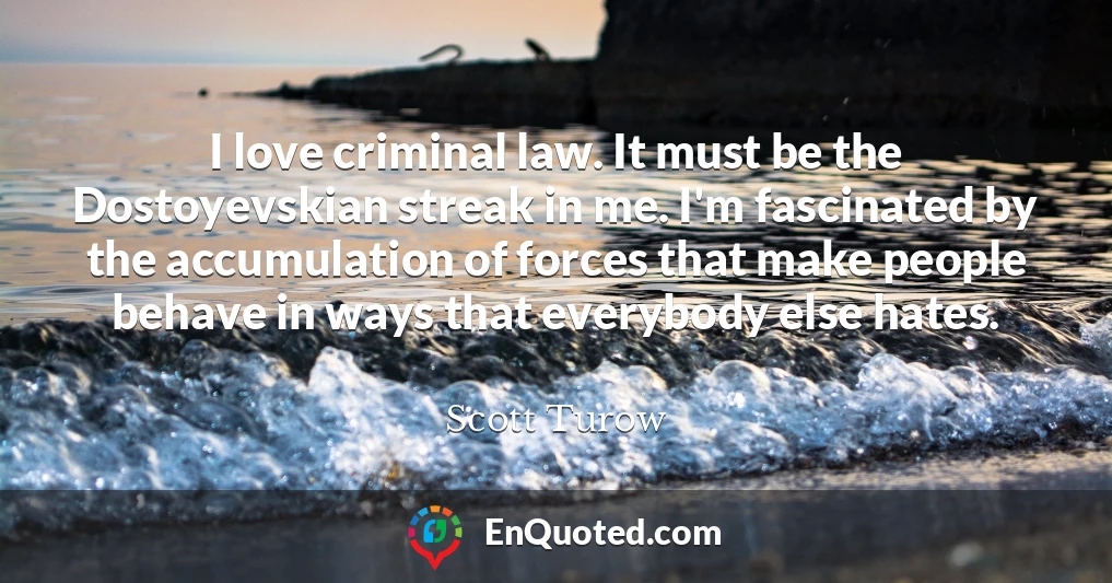 I love criminal law. It must be the Dostoyevskian streak in me. I'm fascinated by the accumulation of forces that make people behave in ways that everybody else hates.