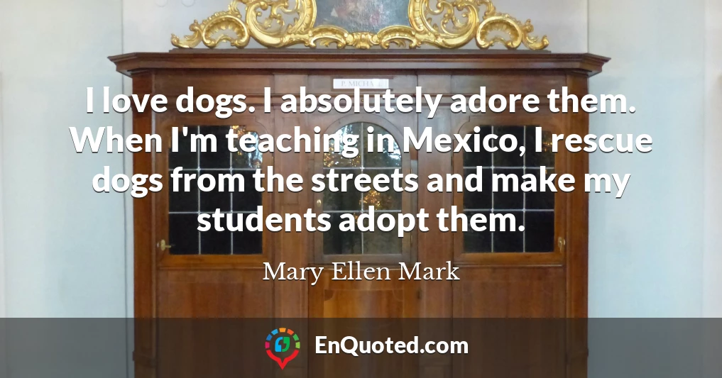 I love dogs. I absolutely adore them. When I'm teaching in Mexico, I rescue dogs from the streets and make my students adopt them.