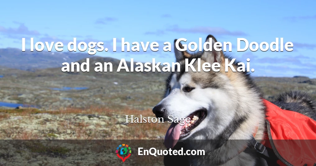 I love dogs. I have a Golden Doodle and an Alaskan Klee Kai.