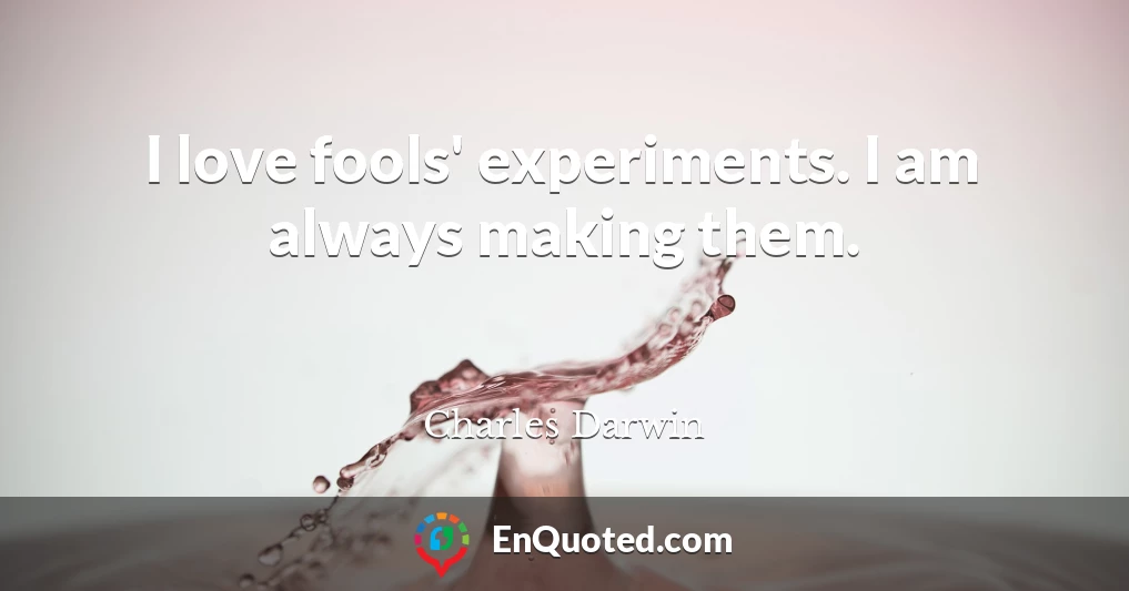 I love fools' experiments. I am always making them.