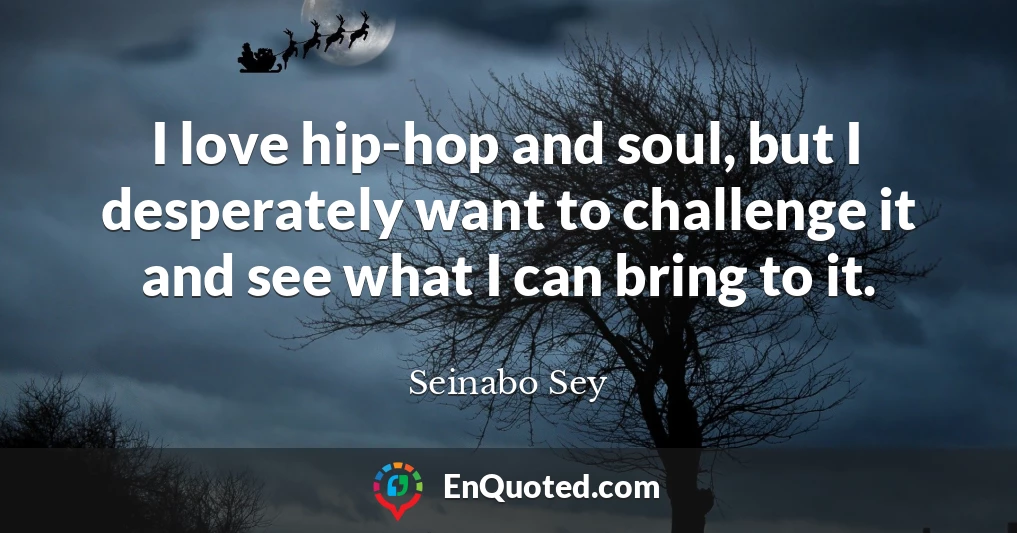 I love hip-hop and soul, but I desperately want to challenge it and see what I can bring to it.