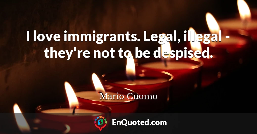 I love immigrants. Legal, illegal - they're not to be despised.