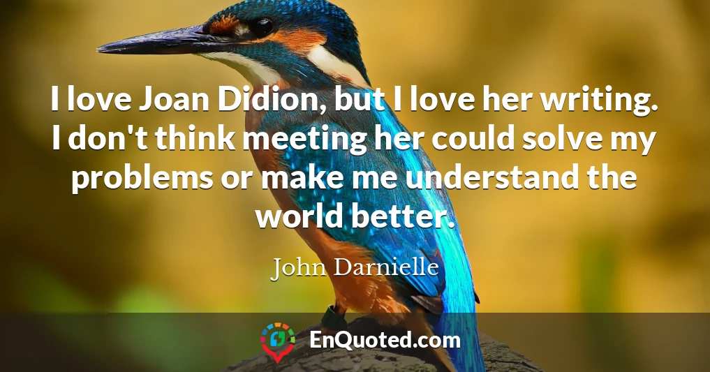 I love Joan Didion, but I love her writing. I don't think meeting her could solve my problems or make me understand the world better.