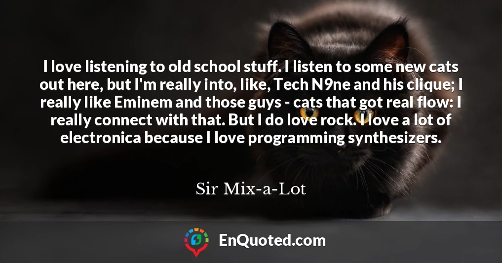 I love listening to old school stuff. I listen to some new cats out here, but I'm really into, like, Tech N9ne and his clique; I really like Eminem and those guys - cats that got real flow: I really connect with that. But I do love rock. I love a lot of electronica because I love programming synthesizers.