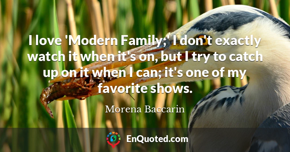 I love 'Modern Family;' I don't exactly watch it when it's on, but I try to catch up on it when I can; it's one of my favorite shows.