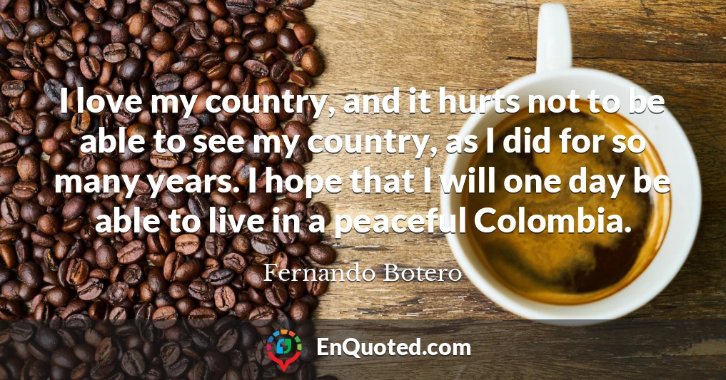 I love my country, and it hurts not to be able to see my country, as I did for so many years. I hope that I will one day be able to live in a peaceful Colombia.