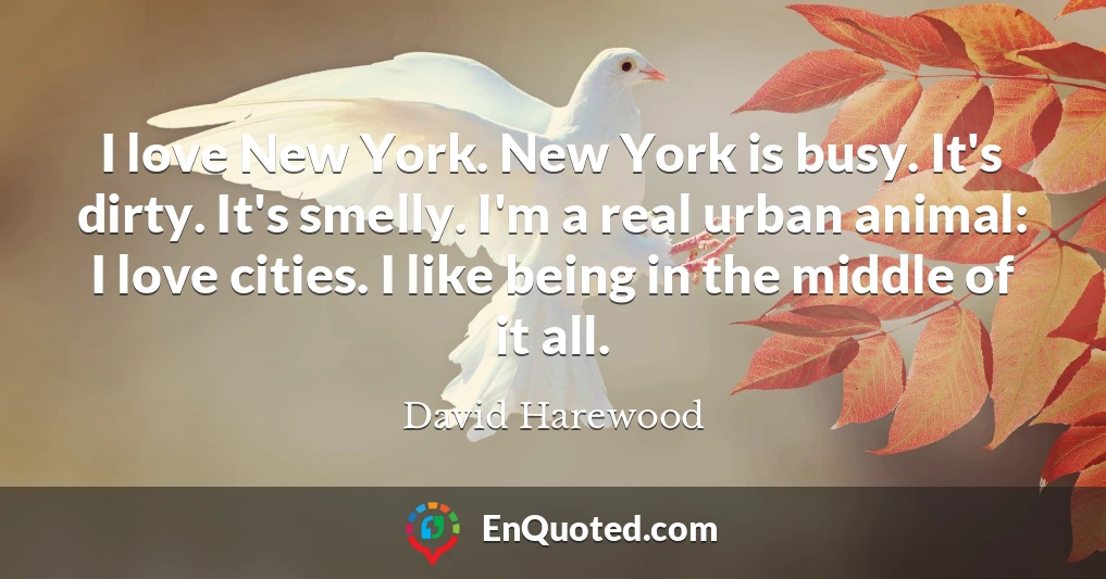 I love New York. New York is busy. It's dirty. It's smelly. I'm a real urban animal: I love cities. I like being in the middle of it all.