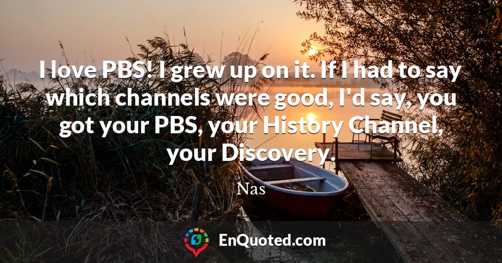 I love PBS! I grew up on it. If I had to say which channels were good, I'd say, you got your PBS, your History Channel, your Discovery.