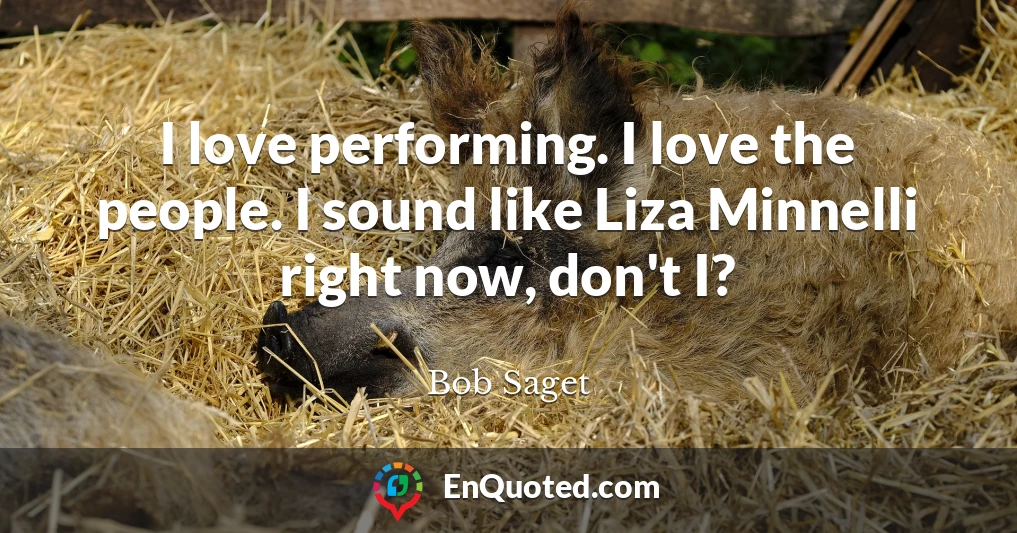 I love performing. I love the people. I sound like Liza Minnelli right now, don't I?
