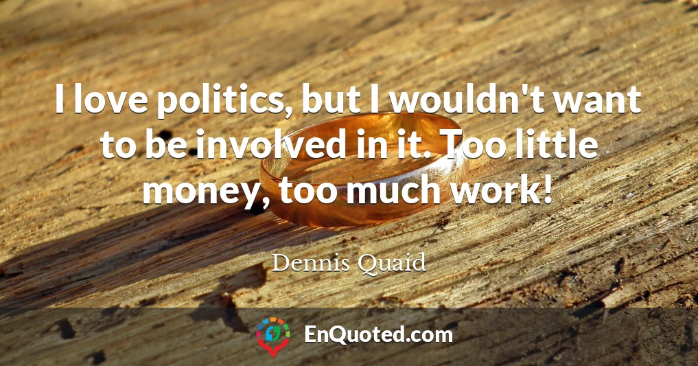 I love politics, but I wouldn't want to be involved in it. Too little money, too much work!