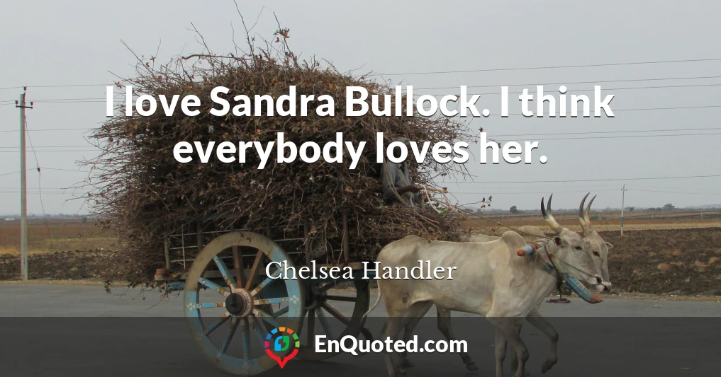 I love Sandra Bullock. I think everybody loves her.