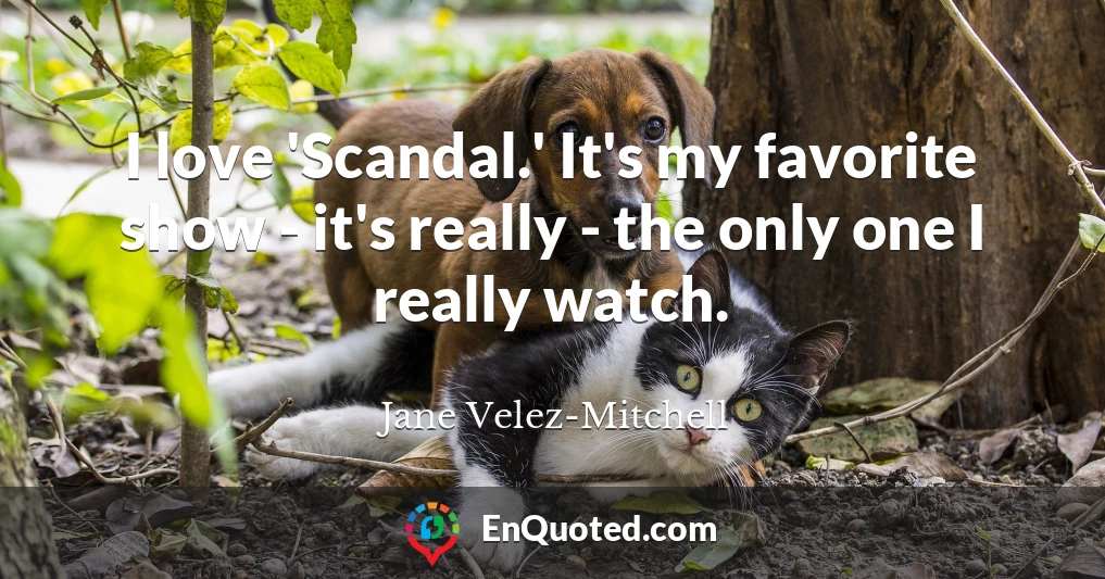 I love 'Scandal.' It's my favorite show - it's really - the only one I really watch.