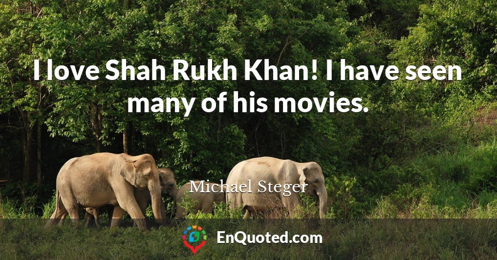 I love Shah Rukh Khan! I have seen many of his movies.