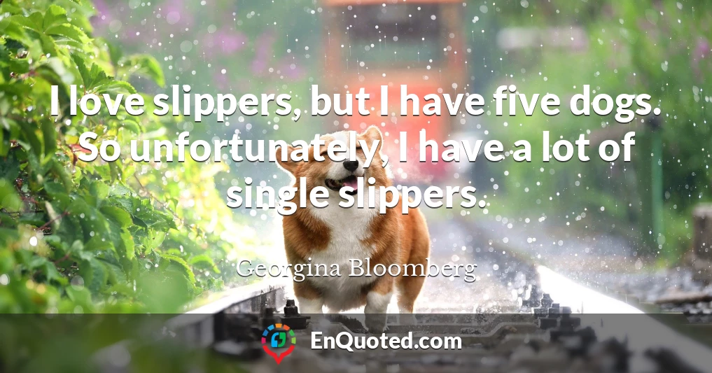 I love slippers, but I have five dogs. So unfortunately, I have a lot of single slippers.