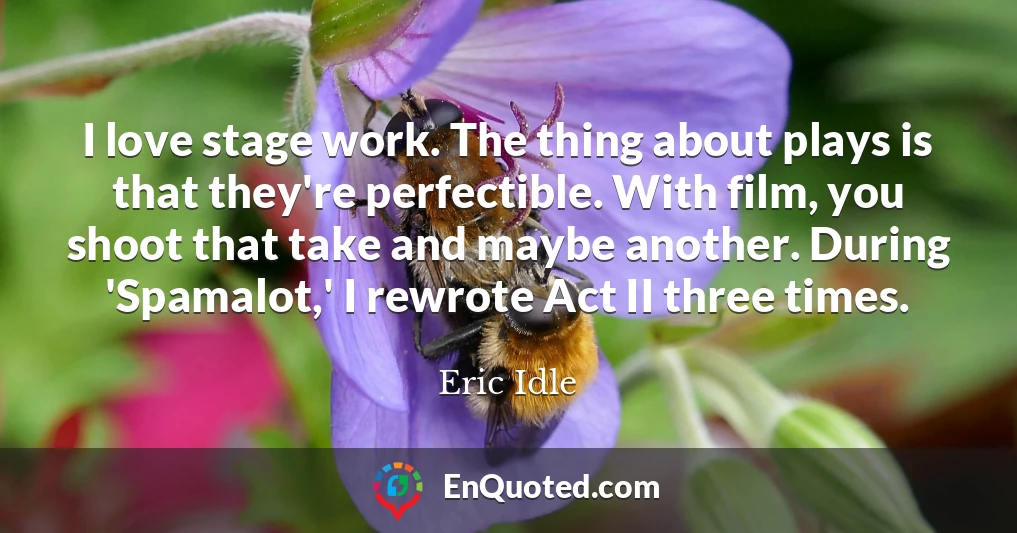 I love stage work. The thing about plays is that they're perfectible. With film, you shoot that take and maybe another. During 'Spamalot,' I rewrote Act II three times.