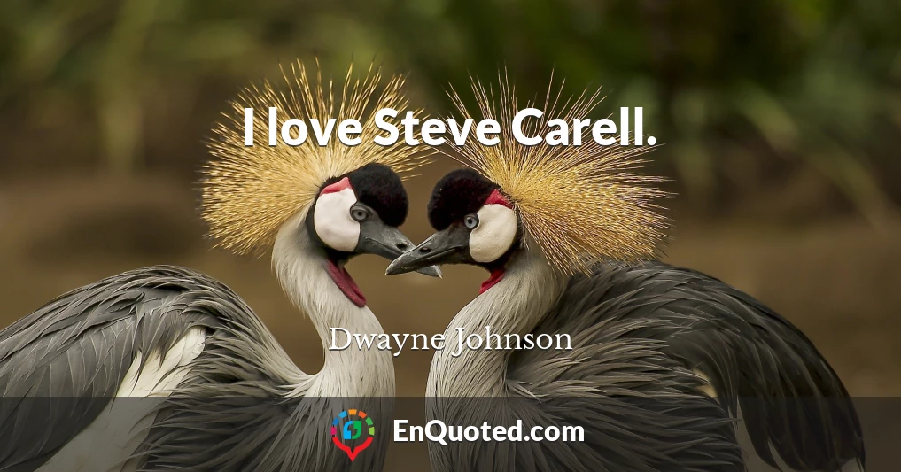 I love Steve Carell.