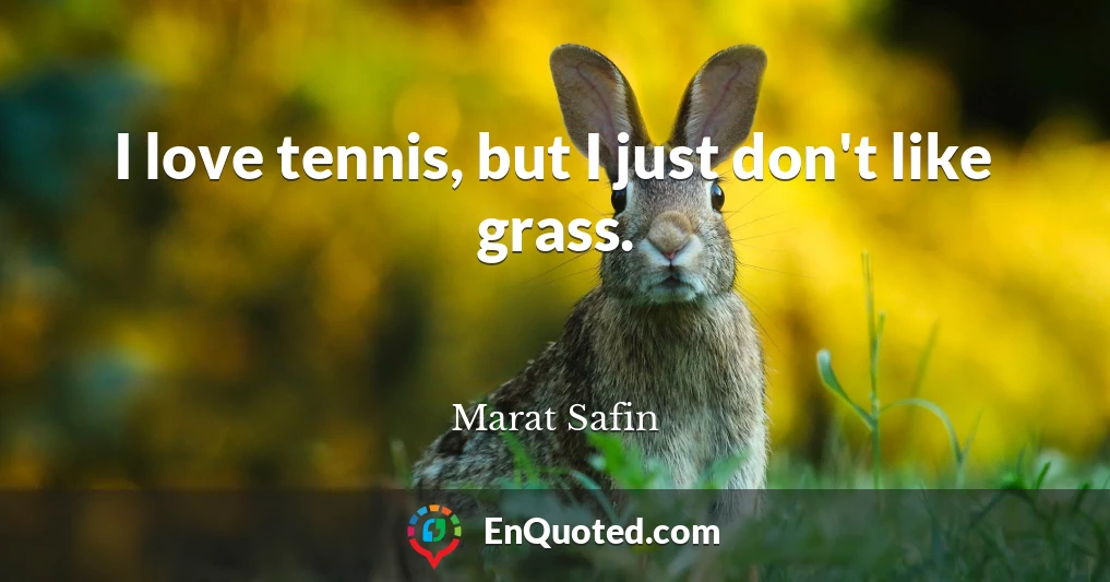 I love tennis, but I just don't like grass.