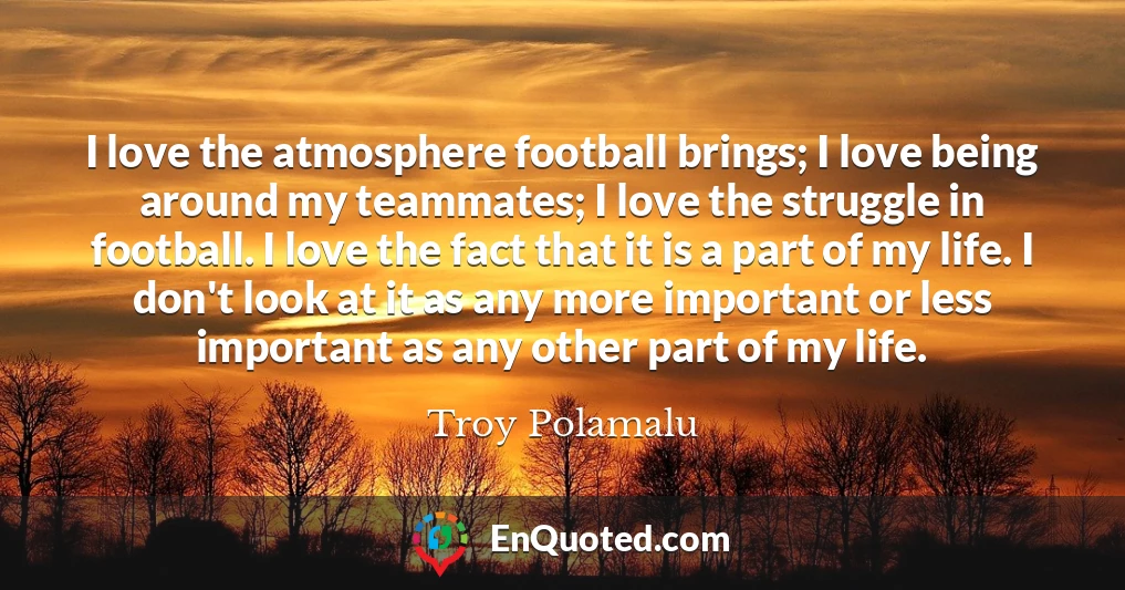 I love the atmosphere football brings; I love being around my teammates; I love the struggle in football. I love the fact that it is a part of my life. I don't look at it as any more important or less important as any other part of my life.