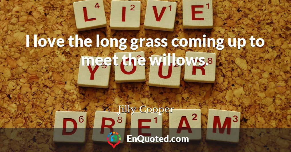 I love the long grass coming up to meet the willows.
