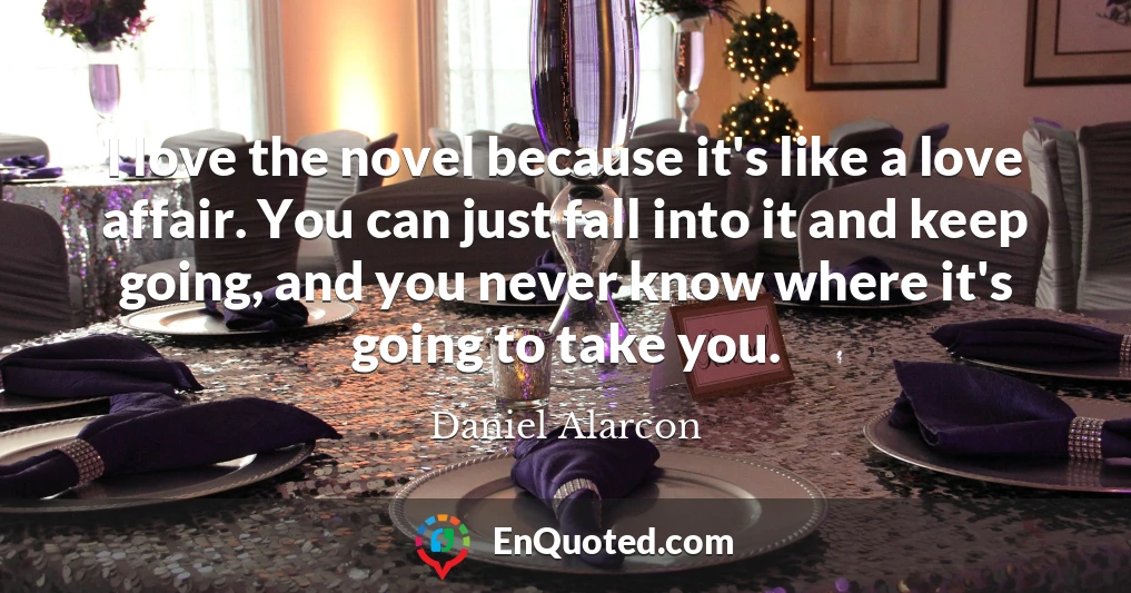 I love the novel because it's like a love affair. You can just fall into it and keep going, and you never know where it's going to take you.