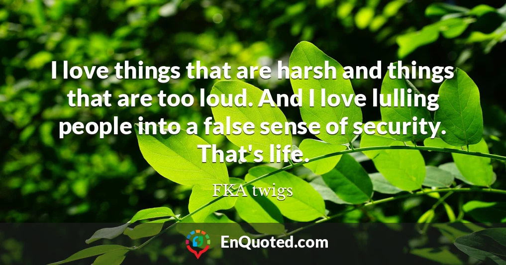 I love things that are harsh and things that are too loud. And I love lulling people into a false sense of security. That's life.